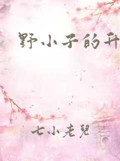 野小子的升官路