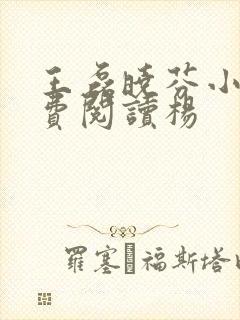 王磊晓芬小说免费阅读杨