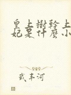 皇上树干上太子妃是什么小说