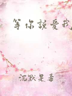 等你说爱我小说