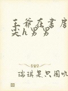 王爷在书房含乳尖h男男