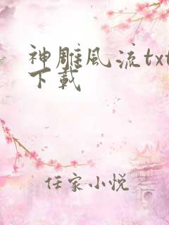 神雕风流txt下载