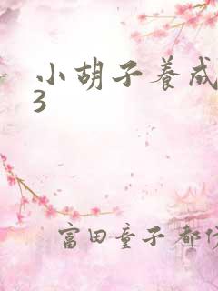 小胡子养成计划3