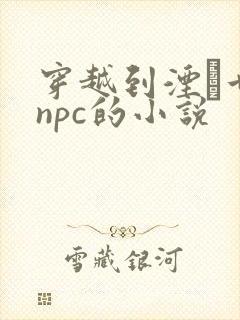 穿越到湮婸世界npc的小说