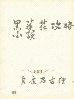 黑莲花攻略手册小说