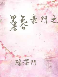 黑色豪门之王子老公