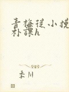 青梅从小摸到大补课h