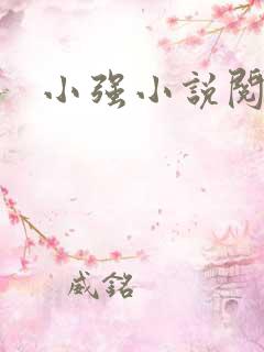 小强小说阅读网