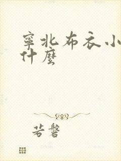 宁北布衣小说叫什么