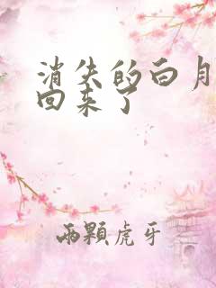 消失的白月光又回来了