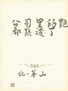 公司里的艳妇们都熟透了