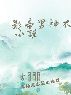 影帝男神不节制 小说