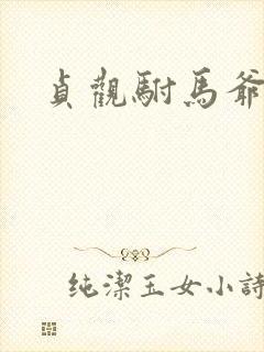 贞观驸马爷苏牧