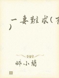 一妻难求(有肉)