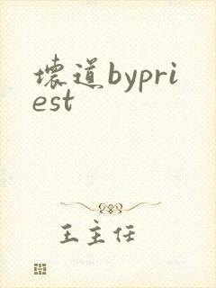 坏道bypriest