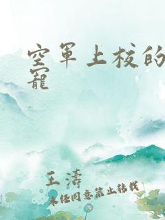 空军上校的邪魅宠