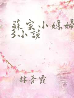 苏家小媳妇1V3小说