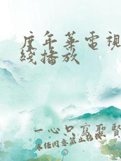 度年华电视剧在线播放