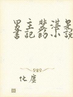 男主裴湛是省委书记的小说