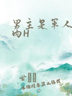 男主是军人的肉肉H