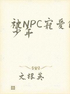 被NPC宠爱的少年