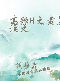 高辣H文黄暴糙汉文