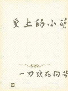 皇上的小萌宠
