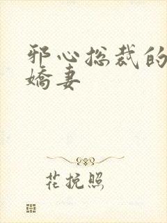 邪心总裁的纯情娇妻