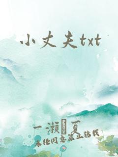 小丈夫txt
