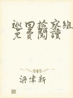 巡回检察组小说免费阅读