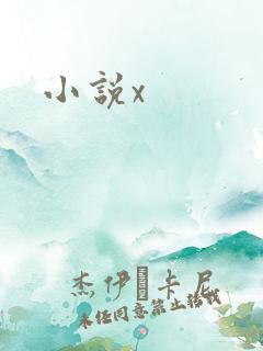小说x