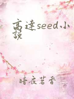 高达seed小说