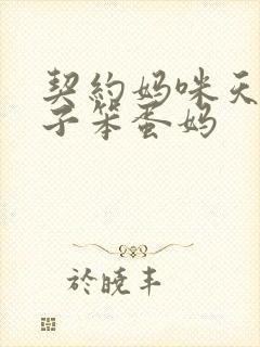 契约妈咪天才儿子笨蛋妈