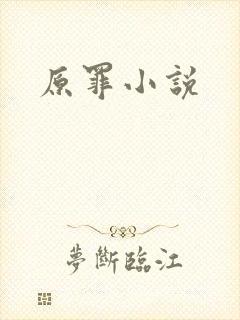 原罪小说