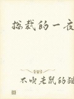 总裁的一夜情人