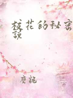 校花的秘密 小说