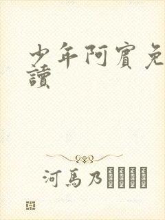 少年阿宾免费阅读