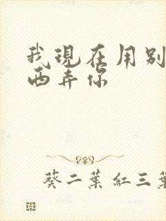 我现在用别的东西弄你