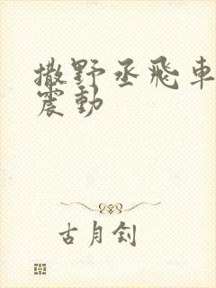 撒野丞飞车道具震动