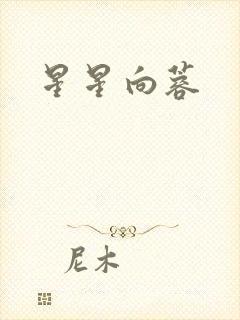 星星向蓉