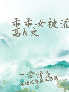 乖乖女被灌满精高h文