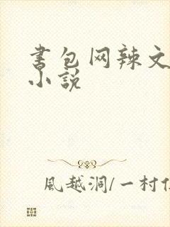 书包网辣文全本小说