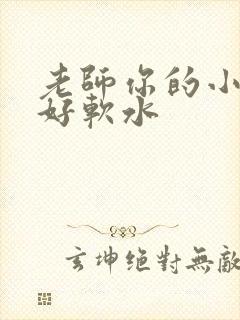 老师你的小兔子好软水