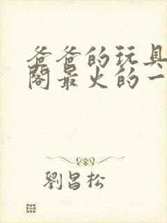 爸爸的玩具笔趣阁最火的一句