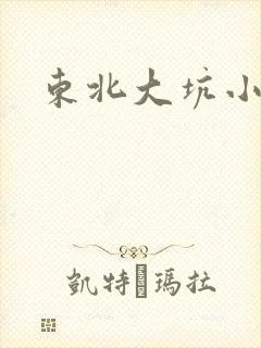 东北大坑小说
