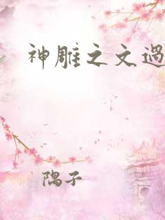 神雕之文过饰非