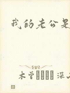 我的老公是冥王