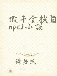 假千金挨日记(npc)小说