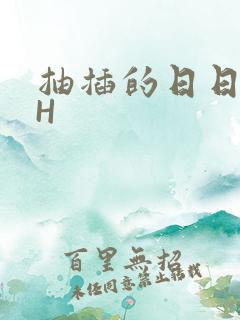 抽插的日日液液H
