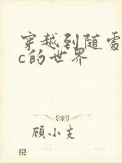 穿越到随处可以c的世界